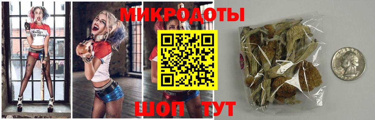 купить  сайты  Псилоцибиновые грибы мицелий  Вход с VPN  Грязи 